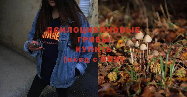экстази Горняк