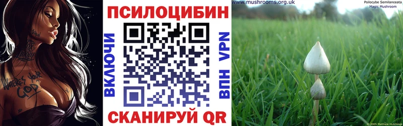 Псилоцибиновые грибы прущие грибы  как найти   Усолье-Сибирское 